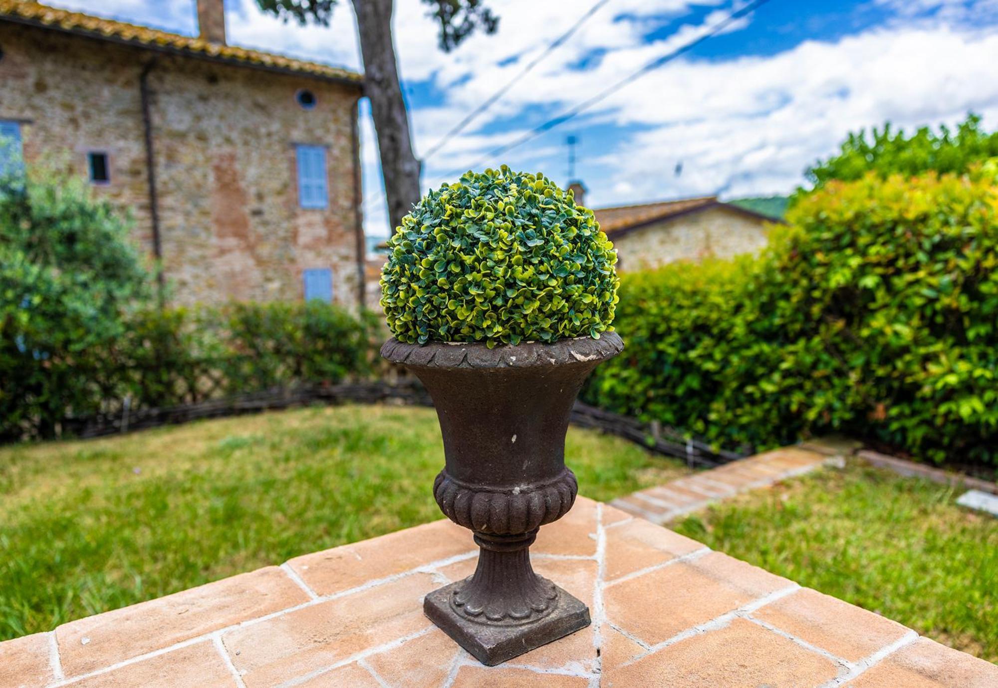 Un Petit Paradis Castiglione Della Valle Exterior photo
